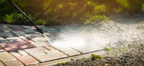 Best Solar Panel Cleaning  in Temperance, MI