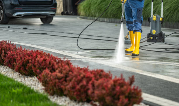 Best Dumpster Area Cleaning  in Temperance, MI